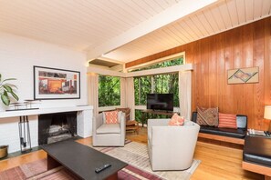 TV, fireplace, books