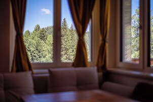 Vistas a la montaña