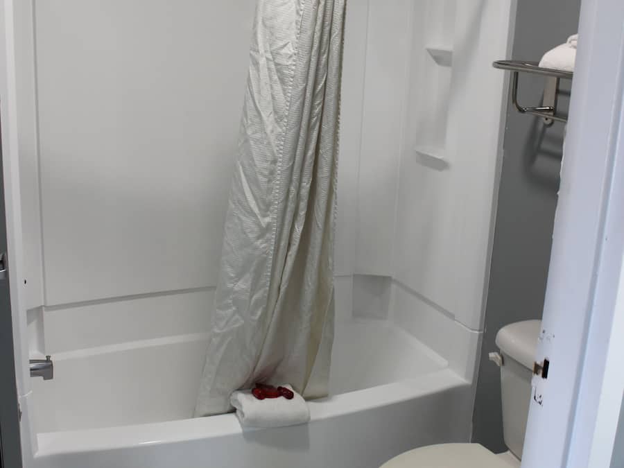Un bany amb dutxa, vàter i banyera.