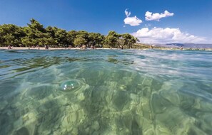 Une vue dégagée sur une plage, avec des arbres et des personnes en arrière-plan.