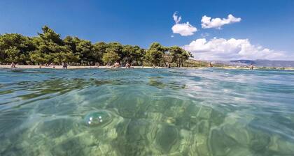 House Runjic w. pool, large garden and playground