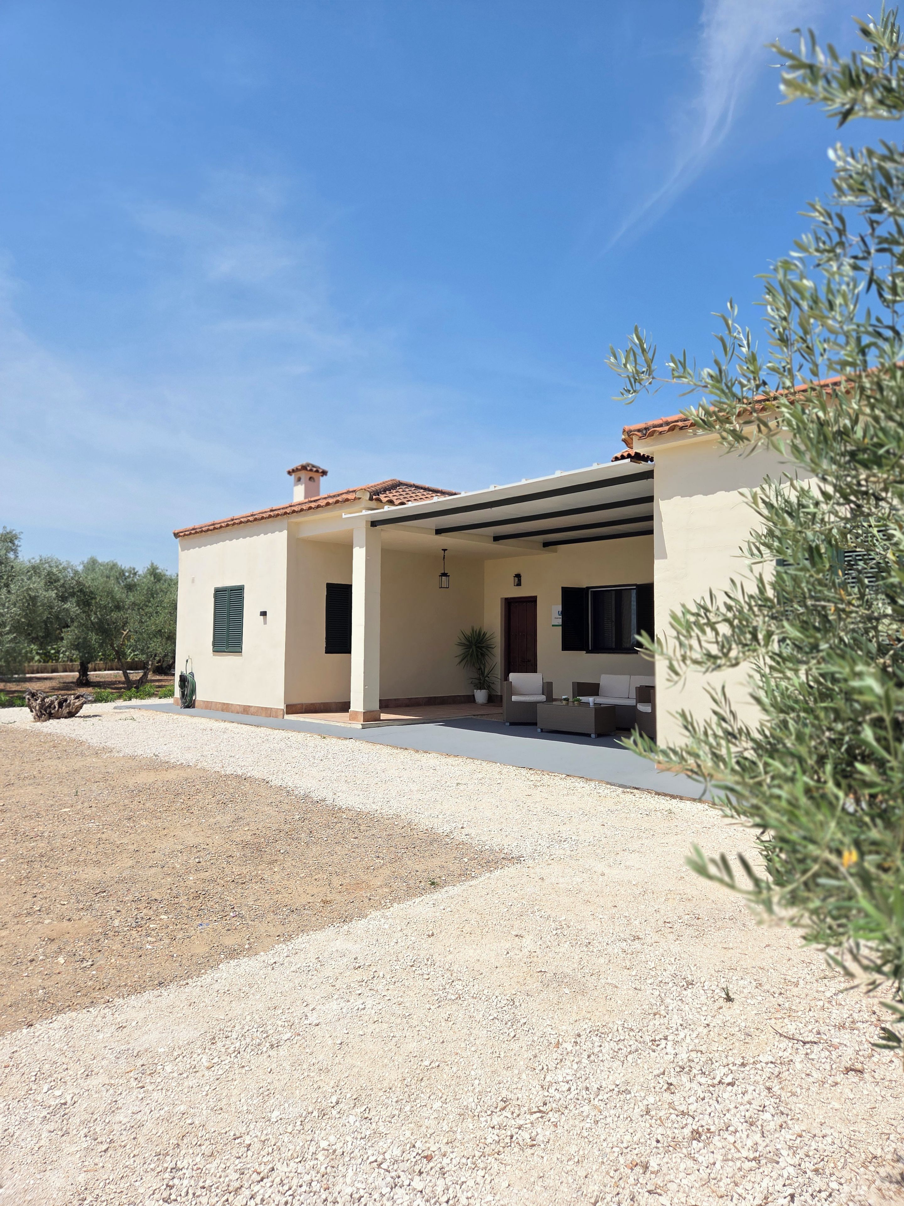 A modern house with a covered patio, a gravel driveway, and a garden with olive trees.