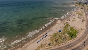 A coastal road with a beach on one side, lined with blue umbrellas and palm trees.