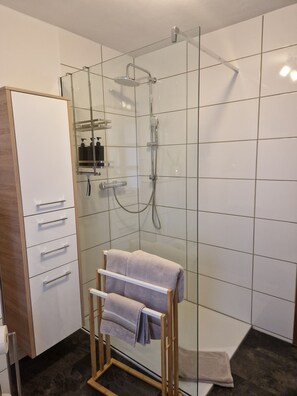 Regadera, amenidades de baño gratuitas, secadora de cabello, toallas 