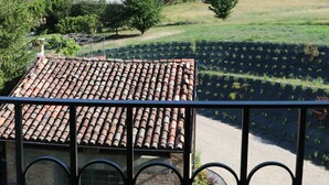 A terrace with a tiled roof and a view of a vineyard. - Valèt guesthouse, four rooms and sleeps 12, half an hour from Alba (Moasca)