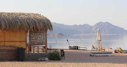 The Bedouin Life with Eid Ali - Standard Double room
