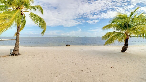 A beach with two palm trees and a calm sea under a partly cloudy sky. - Canal-Front Key Largo Retreat w/ Community Beach! (Key Largo)