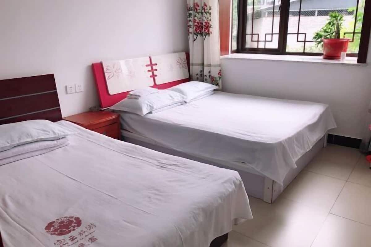 A bedroom with two single beds, a nightstand, a window with a view, and a potted plant.