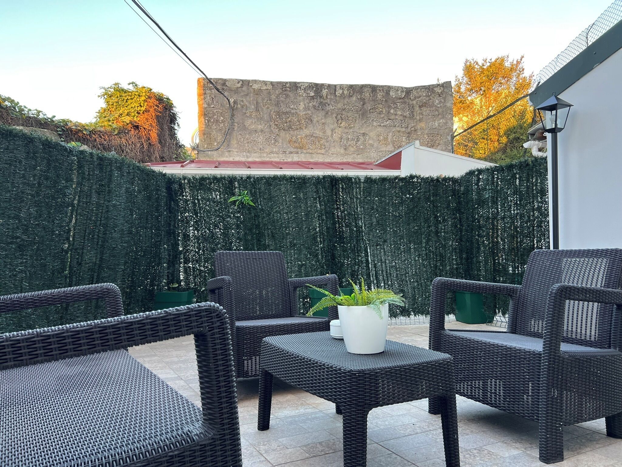 Un área de estar al aire libre con mobiliario de mimbre y una planta en maceta.