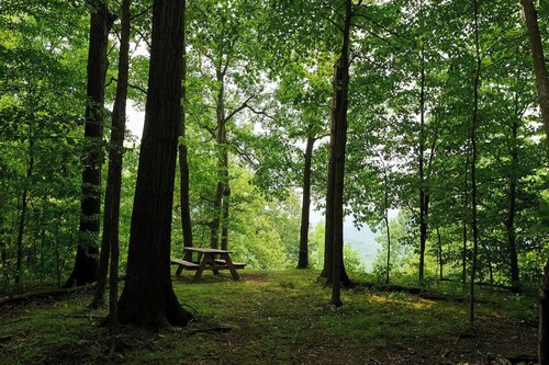 Cabin for 6 in Cuyahoga Valley National Park: Enjoy four-season comfort