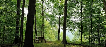 Cabin for 6 in Cuyahoga Valley National Park: Enjoy four-season comfort