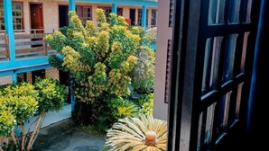 Vista desde una ventana que da a un patio con piscina, rodeado de edificios con fachadas azules y beige y un gran árbol con flores amarillas.