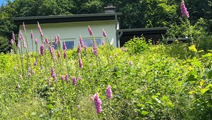 En lille bygning i et enkelt plan med fladt tag, omgivet af frodigt grønt løv og høje lyserøde blomster.