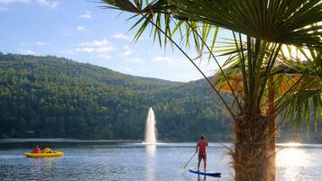 A beach with a palm tree, a wooden bench, and a person paddleboarding on the water.