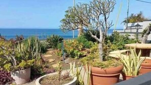 Un balcon agrémenté de plantes en pot et offrant une vue sur la mer.
