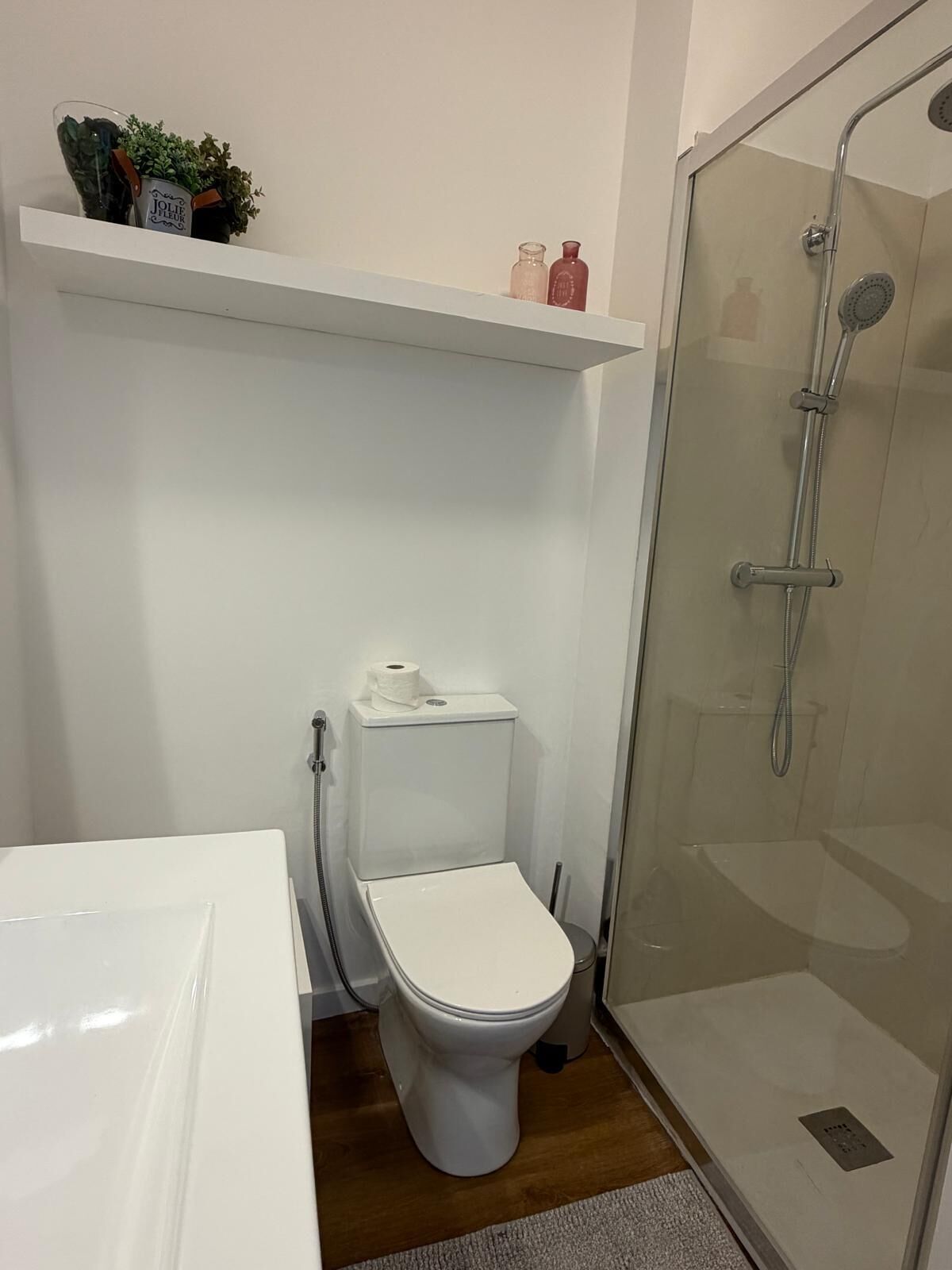 A bathroom with a toilet, a shower enclosure, and a shelf with toiletries.