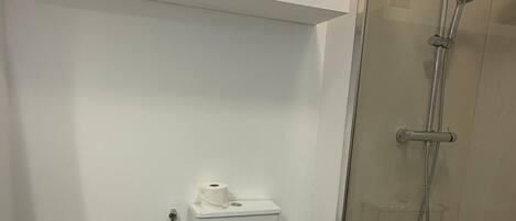 A bathroom with a toilet, a shower enclosure, and a shelf with toiletries.