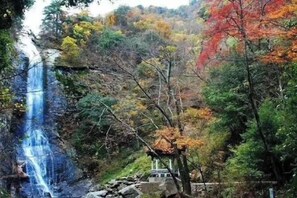 Miscellaneous - Paradise Village Ice Creek Hotel (Jinzhai)