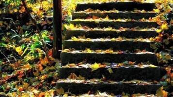 Khuôn viên nơi lưu trú