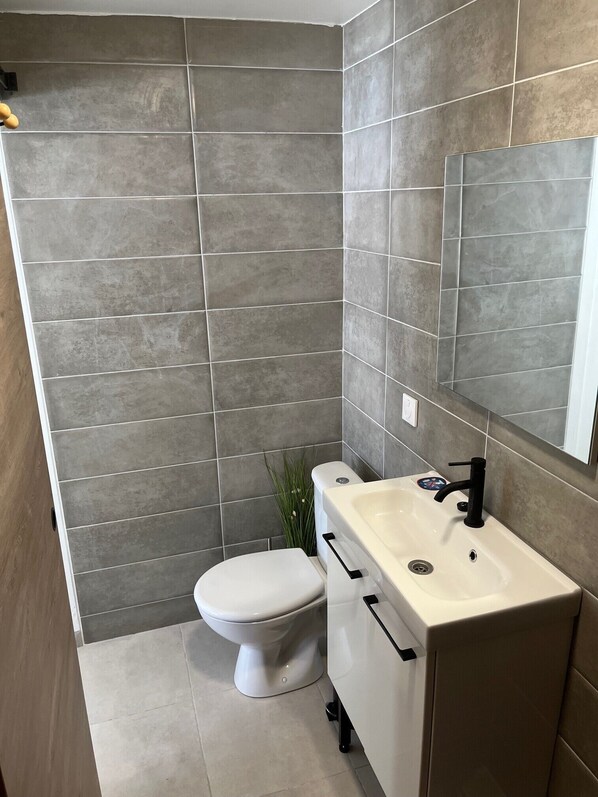A bathroom with grey tiles, a white toilet, a beige sink with a black faucet, and a mirror above the sink. - Chambre Studio Confort, Plein Centre, Accès Piscine, Idéal Pour Couple (Baie-Mahault)