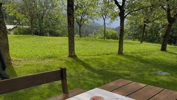 Luxury House, Garden View | Pemandangan taman