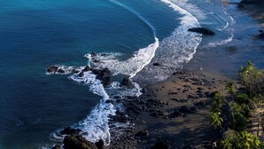 A coastal landscape with a beach, waves, and a forested area.
