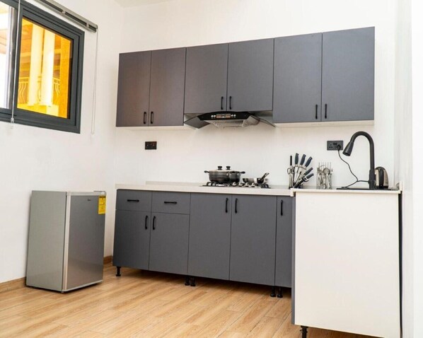 Compact kitchen with stove, range hood, and refrigerator.