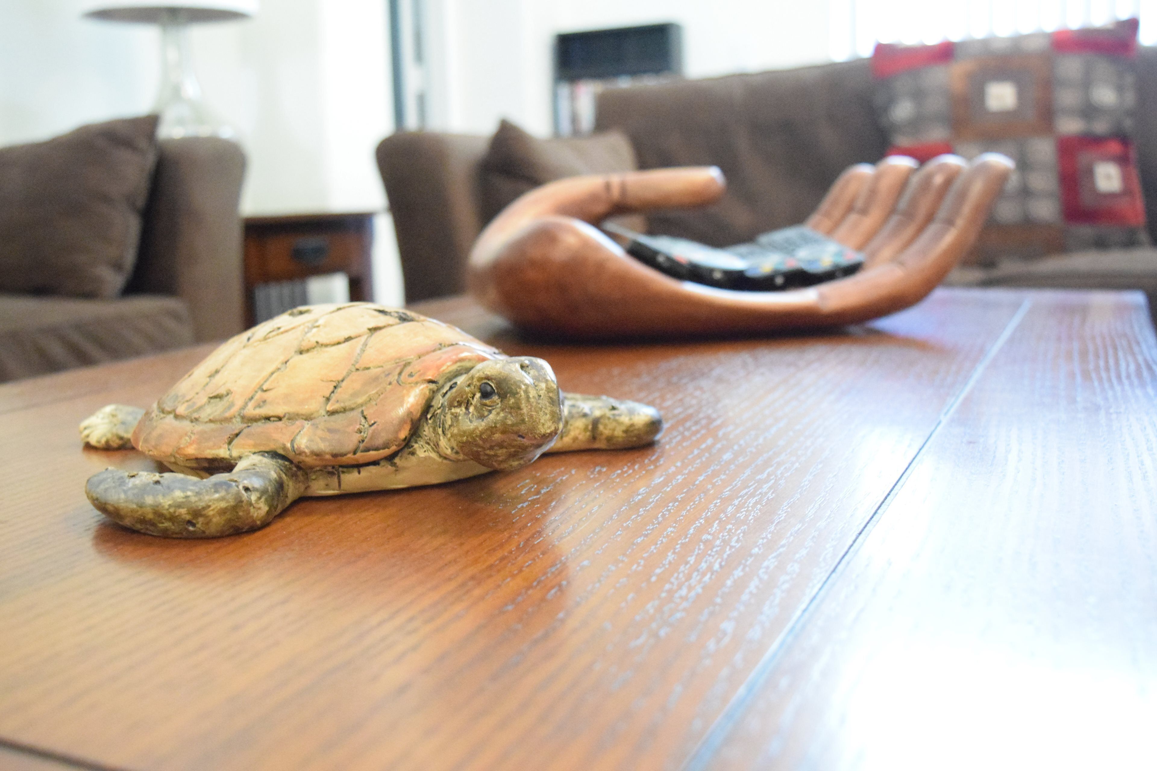 A turtle on a wooden table in a living room with a couch and a television in the background.