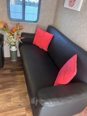 A black leather sofa with red cushions, a green vase with flowers, and a window with blinds.