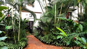 A narrow pathway flanked by lush tropical plants leading to a building with a sign indicating room number 3. - Cozy stay Tropical Vibes near Beach (Puerto Vallarta)