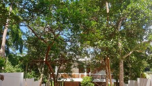 A courtyard with trees, a staircase, and a building with a white facade. - Cocosurf House (Hikkaduwa)