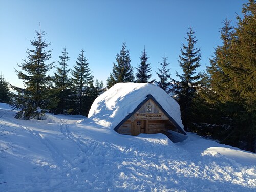 Cozy Apartment ideal
for Hiking, Cycling, Outdoors

