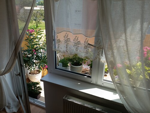 Cozy Apartment ideal
for Hiking, Cycling, Outdoors

