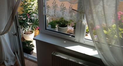 Cozy Apartment ideal
for Hiking, Cycling, Outdoors