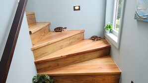 A wooden staircase with a handrail, potted plants, and a window with a plant on the windowsill. - Stunning Ocean Views, Peaceful, Private Pool, Lush Natural Surroundings (Roatan)