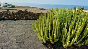 A cactus garden with a stone wall and a view of the ocean. - Ferienwohnung in Einer Finca 4000m2 mit Pool Naehe Puerto Calero (Mácher)