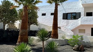 A modern building with white walls and multiple windows, surrounded by palm trees and other greenery. - Ferienwohnung in Einer Finca 4000m2 mit Pool Naehe Puerto Calero (Mácher)