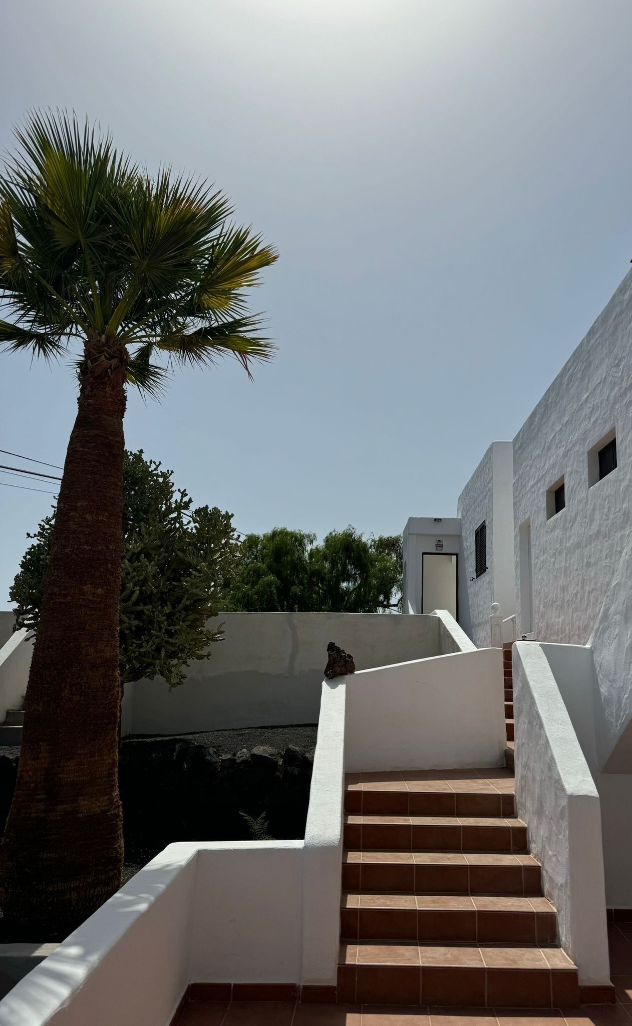 Un bâtiment moderne aux murs blancs, avec un palmier devant. Des marches mènent à l’entrée du bâtiment.