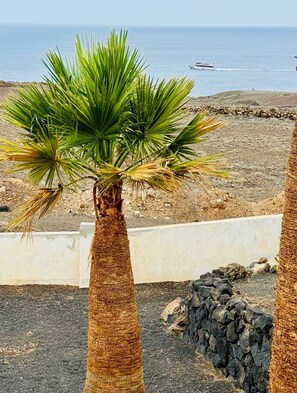 Property grounds - Ferienwohnung in Einer Finca 4000m2 mit Pool Naehe Puerto Calero (Mácher)