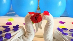 A decorative arrangement with a white fluffy object, a red rose, and scattered flower petals. - Yoyo Hotel (Zhongshan Bus Terminal) (Zhongshan)