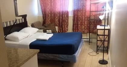 Junior Studio Apartment in Downtown Toronto