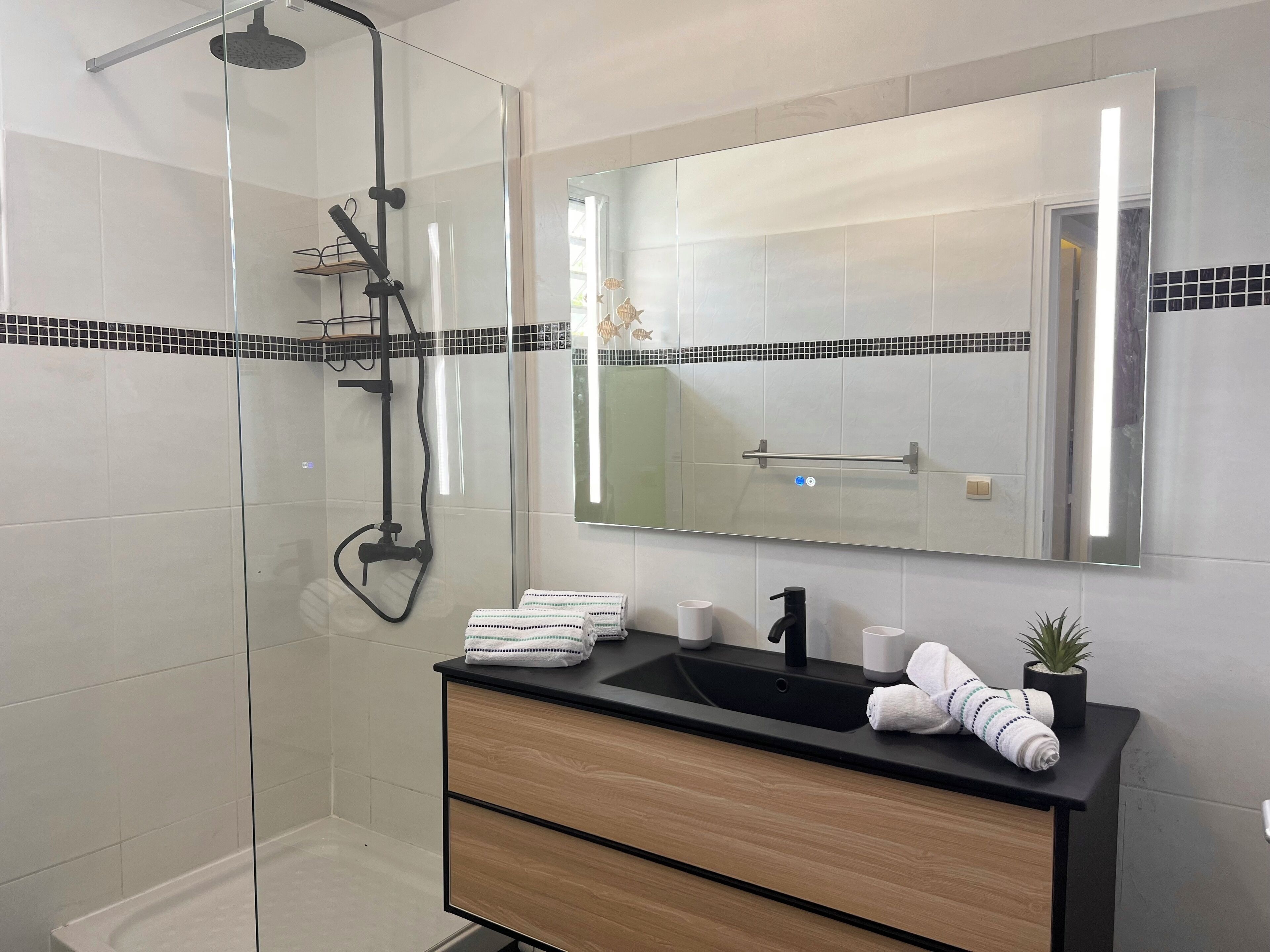 Douche, séchoir à cheveux, serviettes fournies