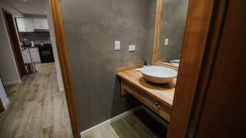 Premium Apartment | Private kitchen | Mini-fridge, microwave, oven, stovetop