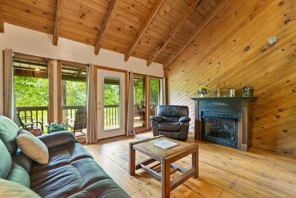 تلفزيون، مشغل دي في دي