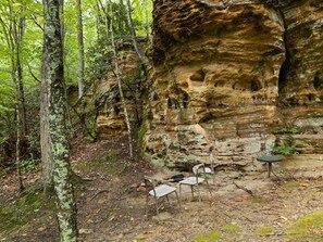 Property grounds - Quaint, heavily forested cabin, mountain valley view. (Slade)