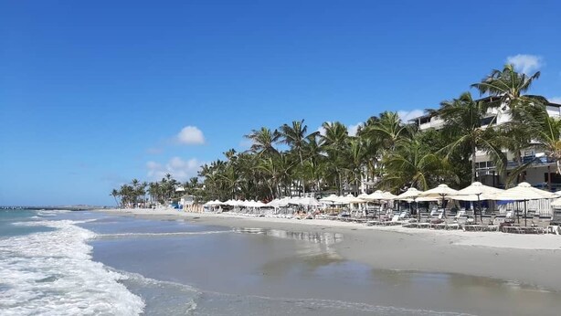 A beach with white umbrellas and palm trees. - Posada Libert Hotel (Díaz)