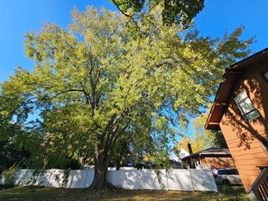 Property grounds - Cozy Urban Cottage | Bright, Peaceful Retreat Near Queen’s, Downtown & Airport (Kingston)