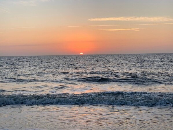 På stranden