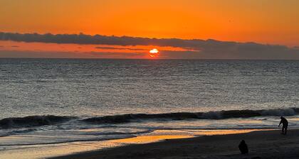 Modern New Home Hike Forest Golf Bike St Augustine Daytona Beach Disney