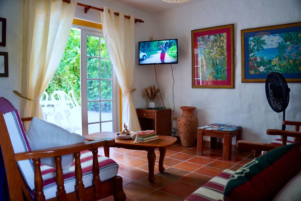 TV connectée, livres, chaîne hi-fi